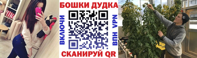 Бошки Шишки OG Kush  купить  цена  Можга 